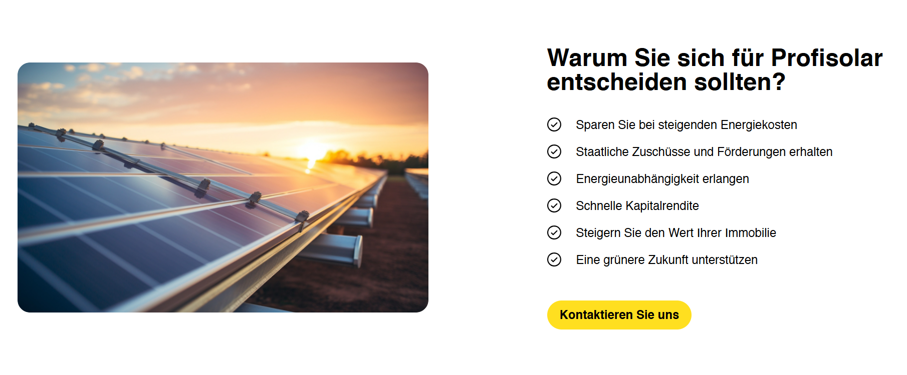 Profi Solar